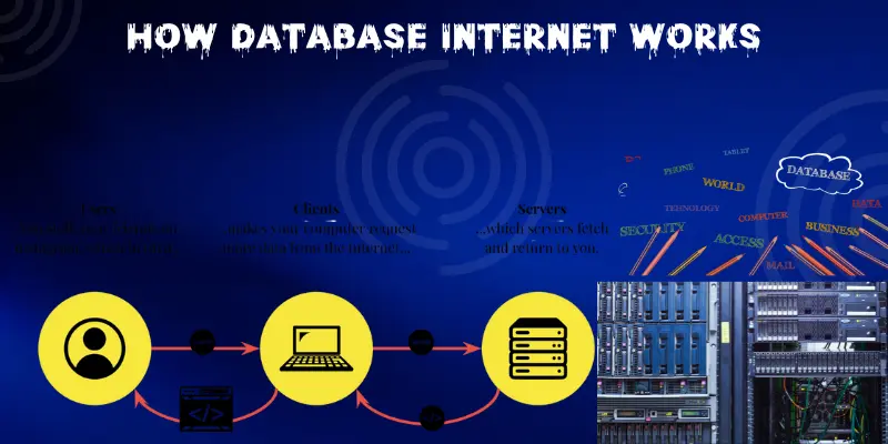 How Database Internet Works