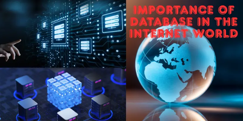 Importance of Database in the Internet World