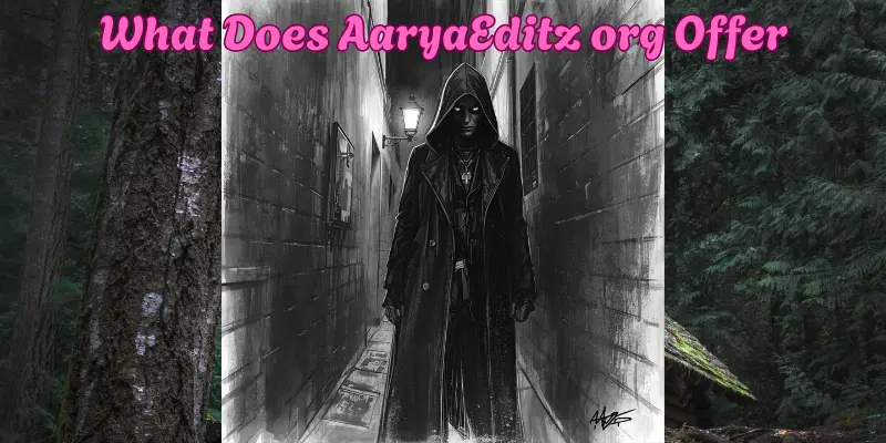 What Does AaryaEditz org Offer