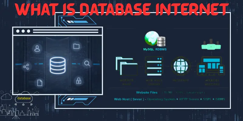 What is Database Internet