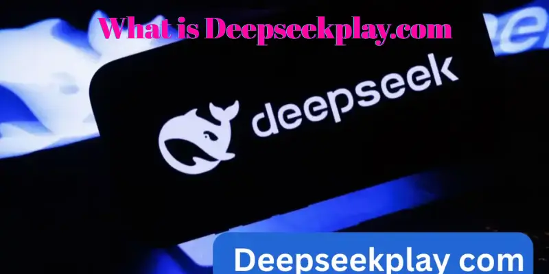 What is Deepseekplay.com