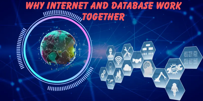 Why Internet and Database Work Together